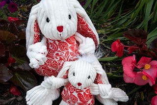 Year of the Lucky Rabbit