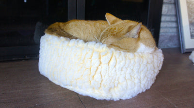 Cat curled up in HuggleFleece® HugglerSnuggler™ bed