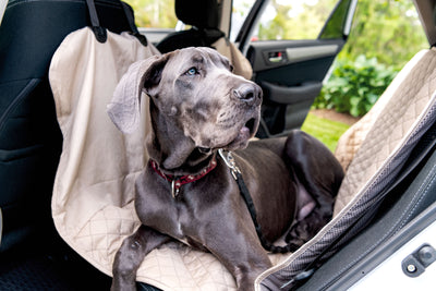 Dog laying in back seat of car that is covered with TuffutLuxx® hammock vehicle protector