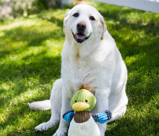 HuggleHounds® For Dogs & Cats