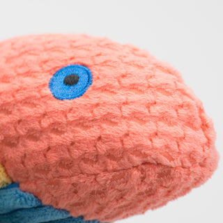 Close up view of peach colored fish face with blue eye