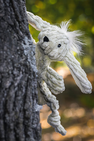 Flat and durable bunny dog toy peeking over a charcoal colored tree with trees in the background.