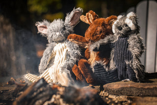 Set of three X-Brace durable dog toys. One Bunny, Moose, and Raccoon sitting next to one another in front of a put out campfire with chairs and trees in the background.