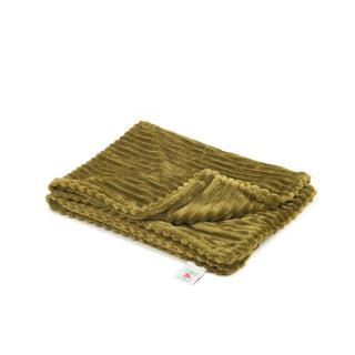 Olive colored scout blanket folded, and on the ground.