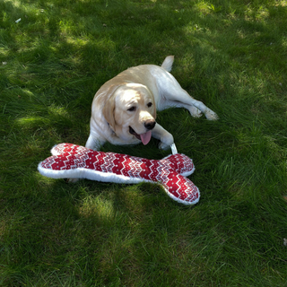 Golden furred lab dog laying on green grass with Christmas themed red and white plush dog bone.
