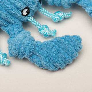 Close up of crab's blue knotted claw.