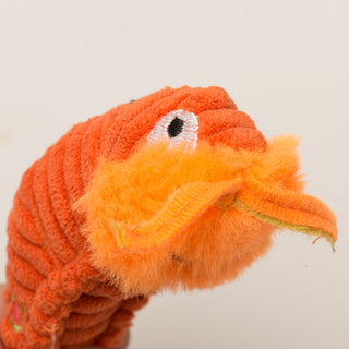 Close up of orange shrimp's furry face and feelers.