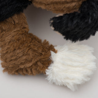 Close up of knotted limb with white paw.