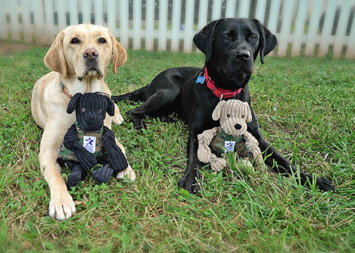 Image of two dogs behind HuggleCause Project K-9 toys.