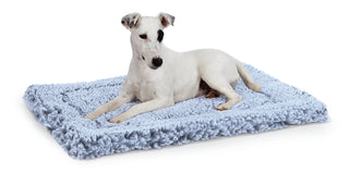 White dog laying on gray colored mat.