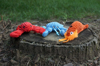 Set of three tiny plush corduroy dog toys designed for pint-sized pups: red lobster with eight string legs, orange shrimp with knotted tail, and fuzzy mouth and feelers, and blue crab with knotted claws and eight string legs and two antennae.