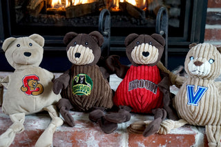 Set of 4 durable plush university mascot dog toys: Cornell University, Baylor the Bear, Brown University, and Villanova University.