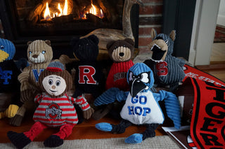 Set of 6 college mascot plush dog toys: Air Force Academy Gyr Falcon, Villanova University Will D. Cat, Brown University Bruno the Bear, North Carolina State University Mr. Wuf, Ohio State University Brutus the Buckeye, and John Hopkins University Blue Jay.