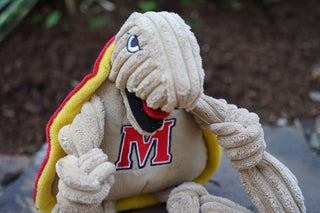 Lifestyle of University of Maryland Testudo the Terrapin mascot plush dog toy with tan corduroy knotted limbs, tan corduroy head, tan belly with university logo on chest, black mouth open with red tongue, yellow inner shell, and red outer shell sitting outside.