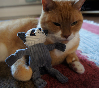 Orange cat sitting next to raccoon plush cat toy.