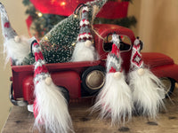 Knitty Witty Wee™ Gnome Balls for Dogs (5 pack) Thumbnail