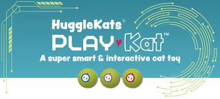HuggleKat PlayKat banner. Text reads "HuggleKats® Play♥Kat™ A super smart & interactive cat toy"