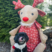 Jingle all the Way Rudy Knottie® Thumbnail