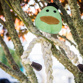 All natural duck rope dog toy hanging from a tree