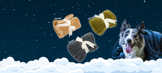 Scout blanket desktop banner : Has a dark, star night background, with white clouds on the bottom. Displaying the three blankets and the different color available like Khaki, Olive, and Steel. With black and white furred dog in the bottom right with a steel colored blanket wrapped around him.