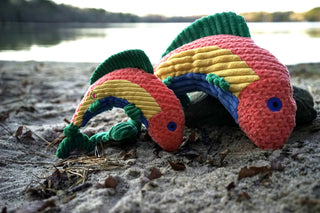Set of two arched fish-shaped durable corduroy plush dog toys in large and small with knotted tails: green fins, peach, yellow, and blue stripes along body, and blue eyes.