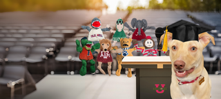 Graduation-themed desktop banner for HuggleGroups collegiate plush dog toys. In the background, rows of chairs are arranged for a ceremony. Seven collegiate mascot plush dogs stand behind a podium with a microphone. In front of the podium, a yellow-furred dog wearing a graduation cap is prominently featured