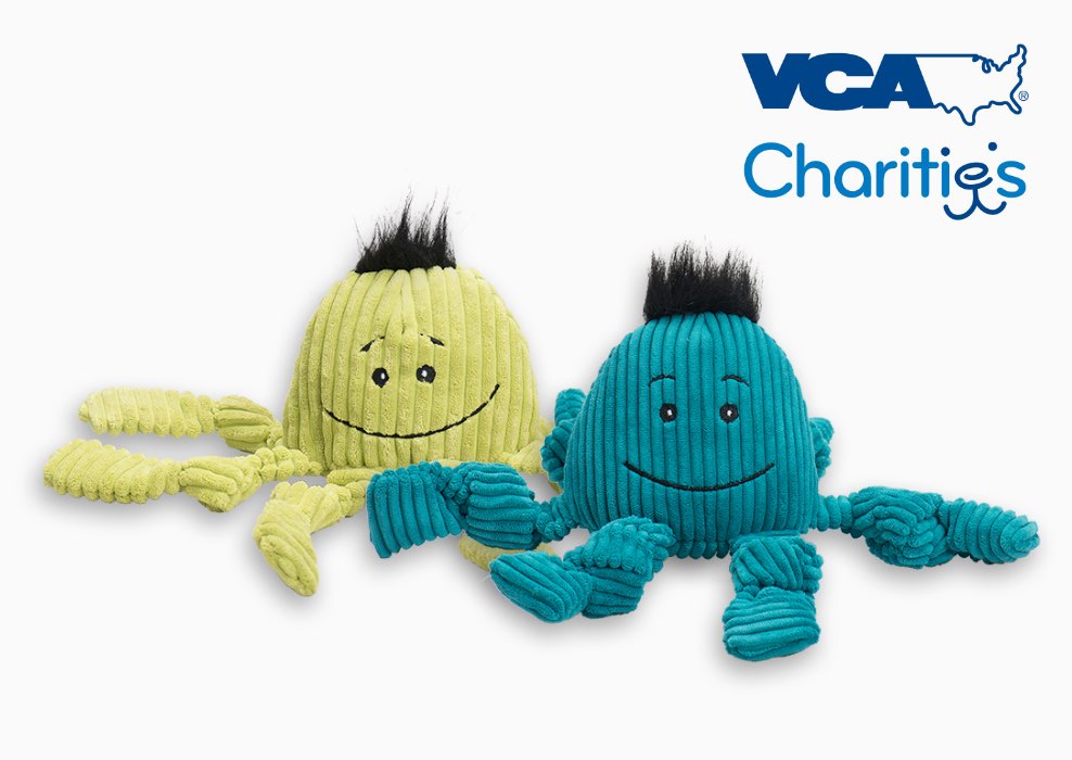 VCA Charities logo next to green and teal plush Octavie Octopus Knotties®
