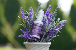 Image of Lavender calming spray in lavender plant: comes in a white bottle, and has a purple label.