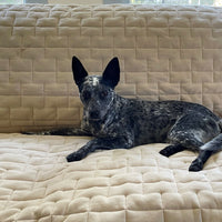 Quilted Waterproof Jersey Furniture Protectors Thumbnail