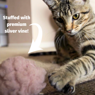 Cat playing with cat toy and text "Stuffed with premium silver vine!"