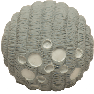Back of grey moon with light gray craters squeaky ball dog toy.