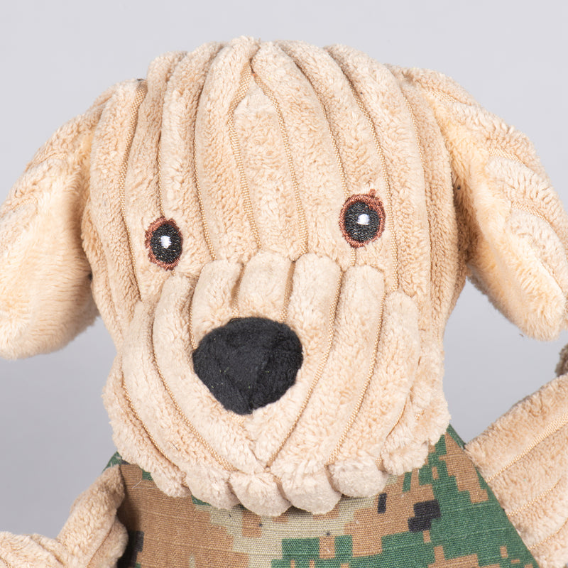 Close up of Warrior Canine Connection Tommy ll Lab Knottie's face. Brown open eyes, floppy ears, and a black nose.