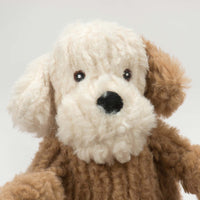 Close-up of face. Black nose, brown eyes, white face with one white ear, one tan ear. Thumbnail