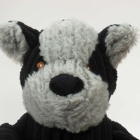 Close-up of face. Grey face, head and ears. Brown eyes and black nose. Thumbnail