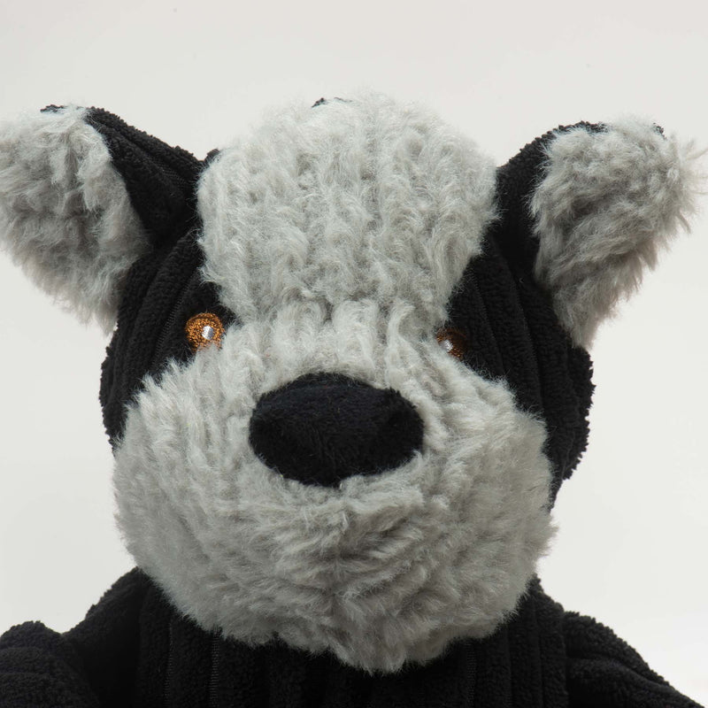 Close-up of face. Grey face, head and ears. Brown eyes and black nose.