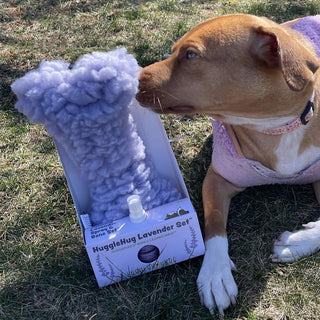 Dog sniffing toy and lavender calming spray set: lavender colored HuggleFleece® bone plush dog toy with squeaker and calming lavender spray.