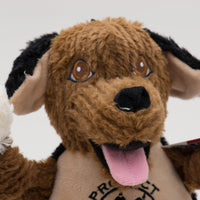 Close up of Project K-9 Hero Flash Knottie's face. Brown open eyes, black nose, open mouth with tongue out. Thumbnail