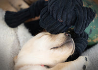 Lifestyle picture of Luke Lab. Pictured with a yellow lab young puppy. Thumbnail