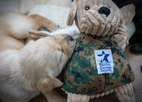Lifestyle picture of Warrior Canine Connection Tommy ll Lab Knottie. Pictured with small yellow lab puppy. Thumbnail