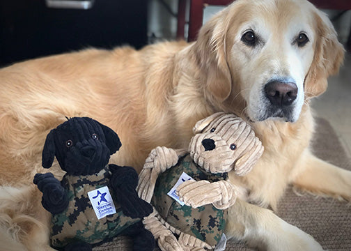 Lifestyle picture with Luke Lab Knottie, and golden retriever.