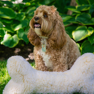 Dog sitting behind fluffy natural cream colored HuggleFleece® two foot bone with squeaker.