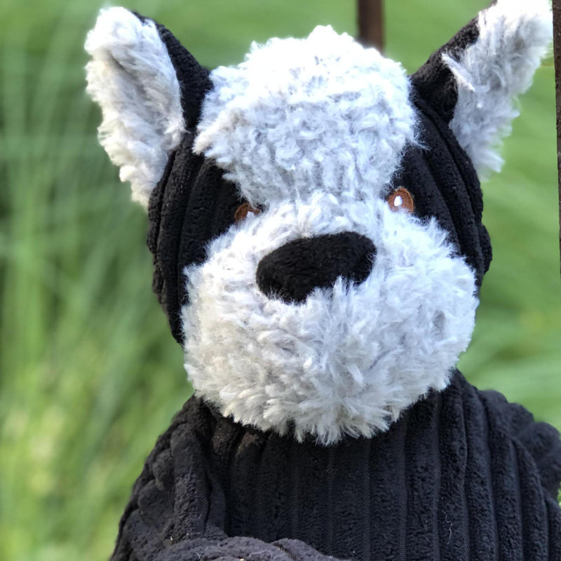 Lifestyle photo of Bruiser HuggleMutt. Pictured outside in a field.