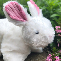 Squooshies™ Bunny Thumbnail