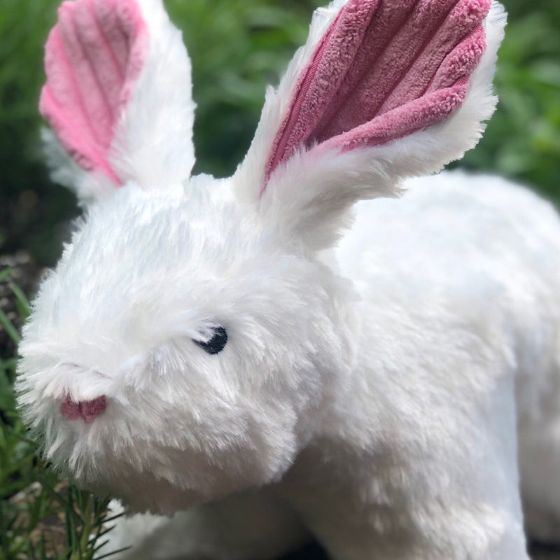 Squooshies™ Bunny