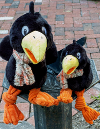 Limited Edition Fall Corny Crow Knottie® Thumbnail