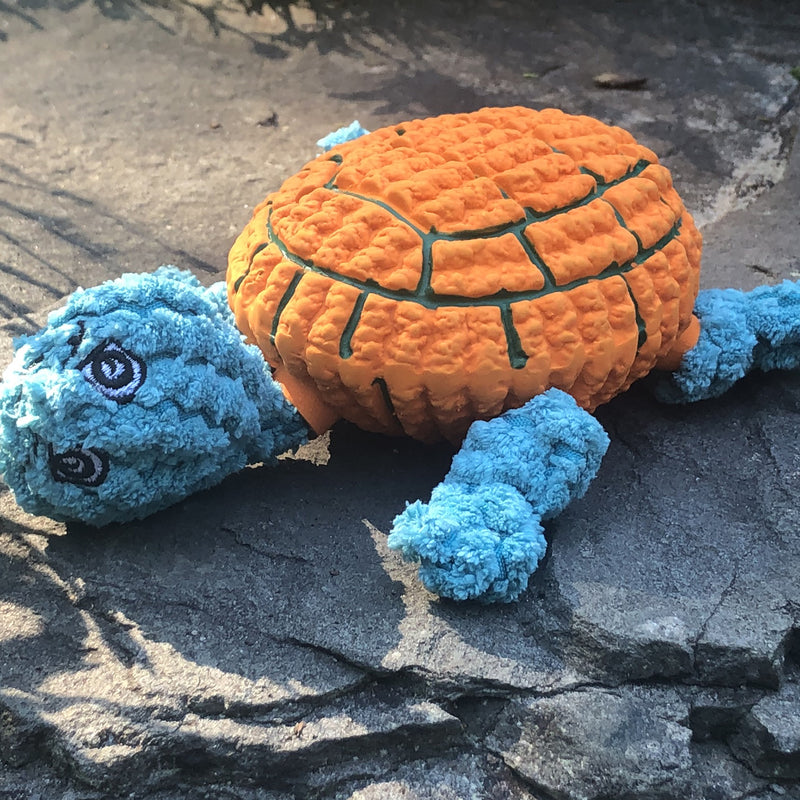 Huggle-Fusion Dude Turtle