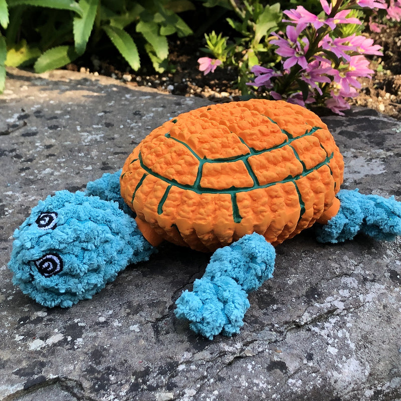 Huggle-Fusion Dude Turtle