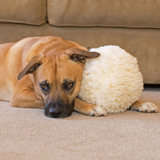 Brown dog laying with large natural colored HuggleFleece® plush ball dog toy.