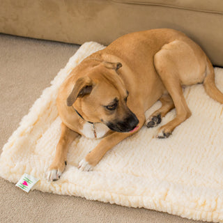 Medium-large sized dog laying on natural cream colored HuggleFleece® mat.