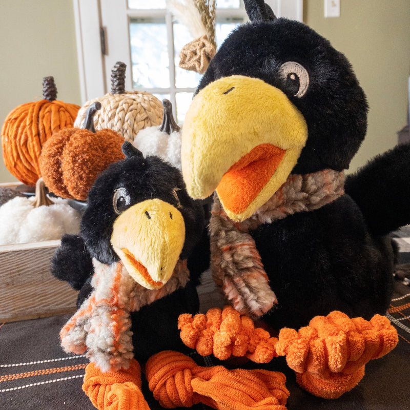 Limited Edition Fall Corny Crow Knottie®